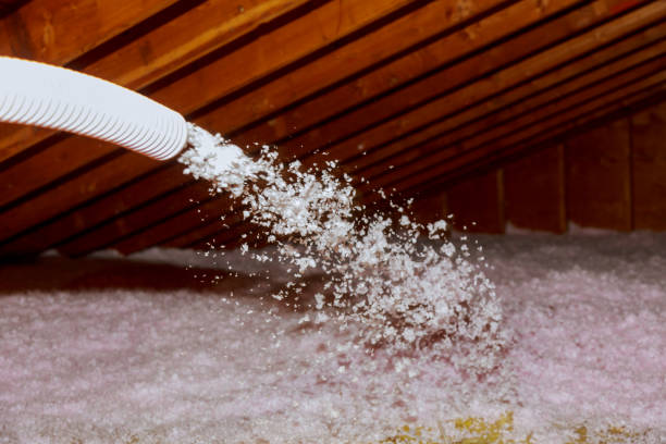 Best DIY Insulation Kits and Guidance in Fallbrook, CA