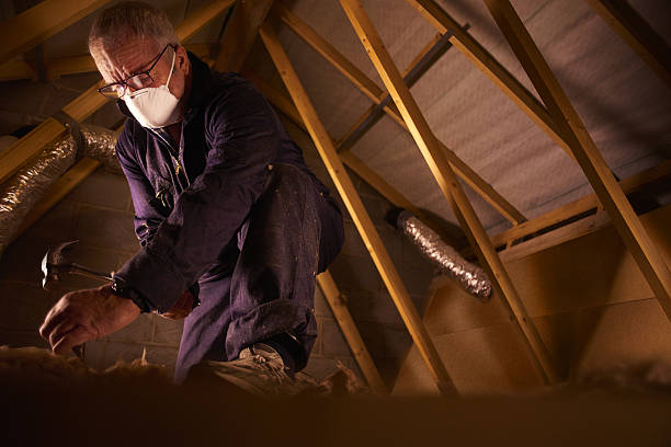 Best Cellulose Insulation in Fallbrook, CA