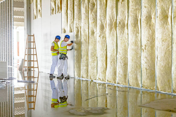 Best Eco-Friendly Insulation in Fallbrook, CA